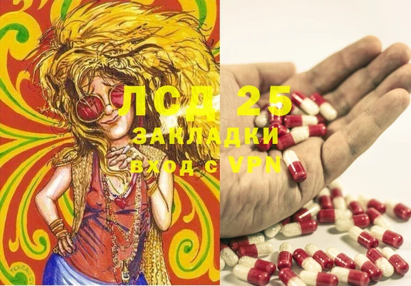 прущие крисы Беломорск