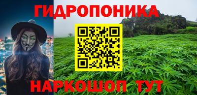 ГАЛЛЮЦИНОГЕННЫЕ ГРИБЫ Бийск