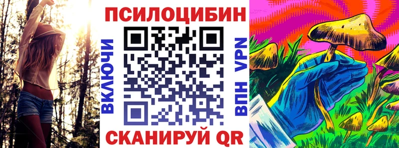 купить наркотики цена  Верхний Уфалей  Галлюциногенные грибы ЛСД 