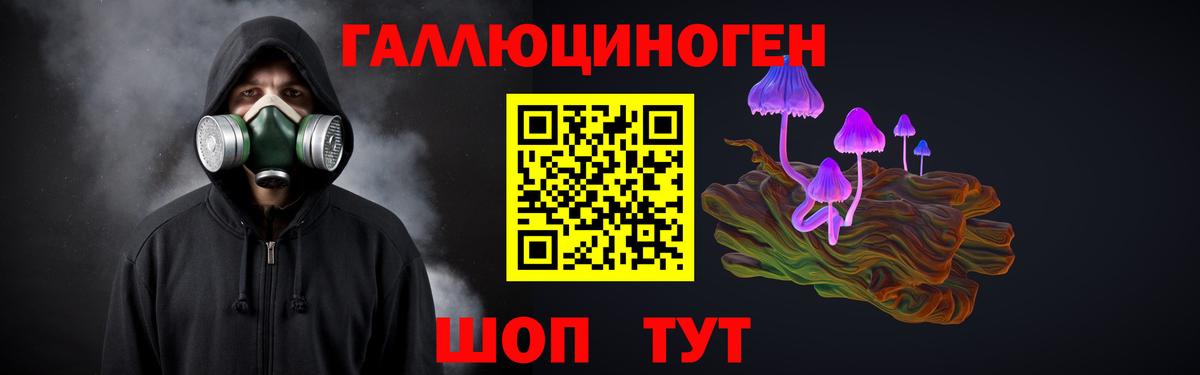 Псилоцибиновые грибы прущие грибы Верхний Уфалей