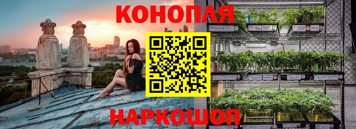 Шишки марихуана тримм  Марихуана OG Kush  Конопля Ganja  Вход с VPN  Верхний Уфалей 